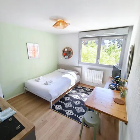 Apartment Wifi Cite Internationale Lyon